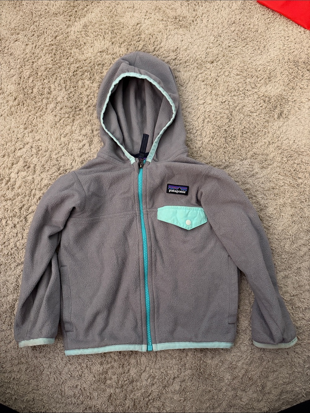 Patagonia Gray Fleece Hoodie with Mint Trim and Pocket